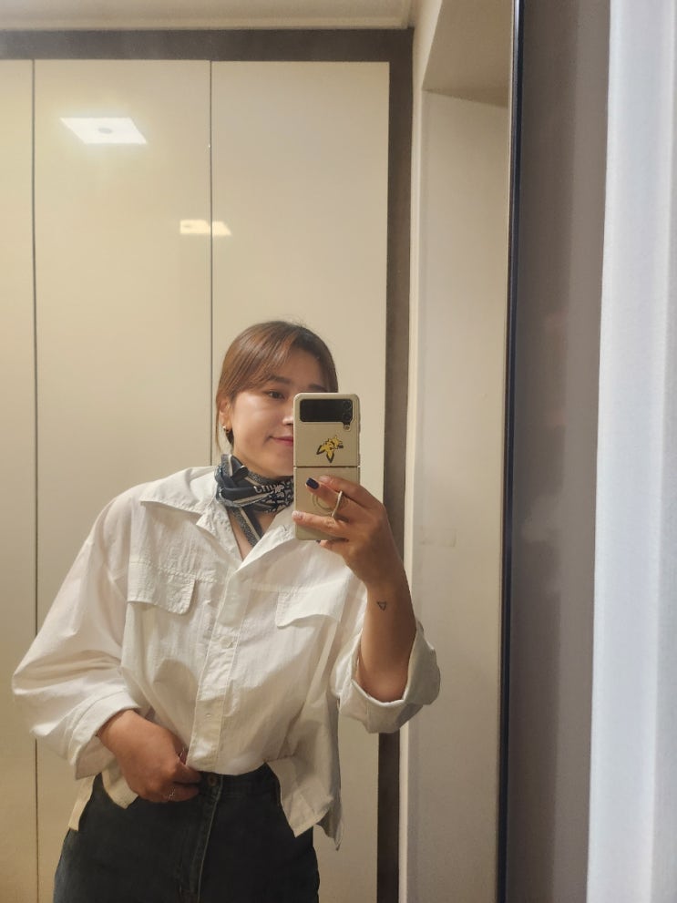 디올 미차스카프 코디 오블리크 매는법 결국 지름 : 네이버 블로그