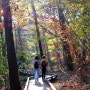 느리게 걸었던 명품숲길, 가을 산책