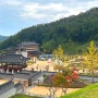 안동 여행 체험 가득~! 한국문화테마파크 산성마을 안동역 순환버스 5천원