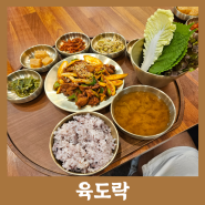 [서대문역/육도락 서대문점] 시청 순화동 덕수궁롯데캐슬 맛집, 직장인 혼밥+도시락 포장 맛집, 제육볶음+고등어구이