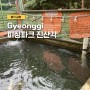 김포 아이와 가볼만한 곳 피싱파크 진산각 입장료