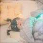 신생아선물 아기꿀잠을 위한 필수품 뮤라 아기베개
