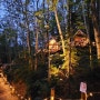 일본 홋카이도 여행 3일차.. 후라노 여행/ 요정의 숲 닝구르테라스 & 히노데공원 라벤더 가든 라이트업 축제