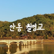 경북 단풍 명소 안동 월영교, 야경도 예쁜 안동 데이트 장소