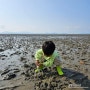 강화도 아이와 놀기 좋은 모래사장 갯벌체험 다 있는 동막해변