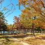 부산 해운대 APEC나루공원의 가을/단풍/낙엽