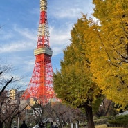 일본 자유 여행 / 도쿄 시부야 시바공원 도쿄타워 포토스팟 top 5 추천