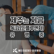 제주지역, 독감(인플루엔자) 환자 급증! 예방 주사 꼭 맞으세요!