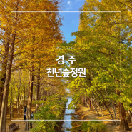 경주 천년숲정원 단풍 산림환경연구원 천년의숲