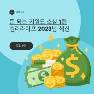 셀러라이프 하루 매출 100만원 소싱법 1탄(feat. 유료강의 내용 공개)
