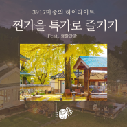 3917마중 찐가을 하이라이트 숙박 특가 즐기기 feat.생활관광