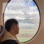 일본 오사카 간사이공항에서 난바역 가는법 라피트 교환 & 시간표 캐리어 보관법