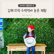 김해 뜨락 수박떡바 만들기 농촌 체험 예약 부산근교 아이랑 가볼만한곳