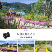 니콘 풀프레임 미러리스 여행 카메라 Z 8로 촬영한 임실 옥정호 붕어섬