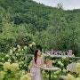 경북 성주 초대형 마운틴뷰 카페 '리베볼' :: 1만평 정원과 프라이빗한 계곡을 가진 사계절이 기대되는 곳