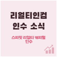 리얼티인컴 인수 합병 소식에 5% 하락 (스피릿 리얼티 캐피털 인수)