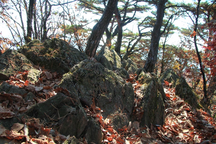 소요산 상-중-하백운대-나한대-의상대-공주봉 종주(2023....