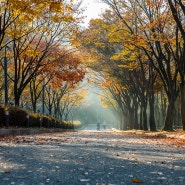 [인천] 인천대공원의 가을