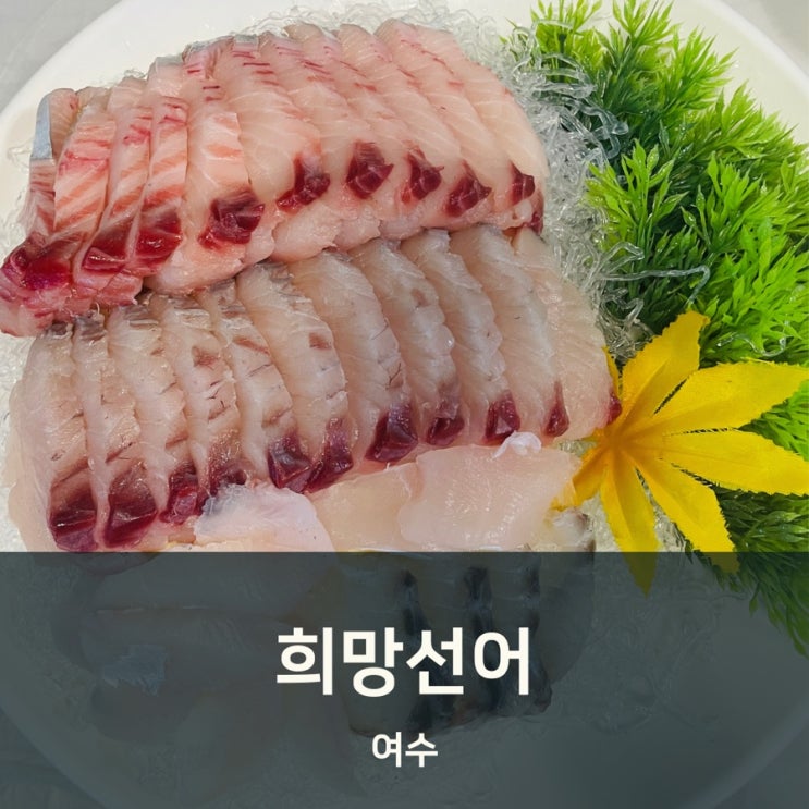 여수 현지인 추천 이순신광장 선어회맛집 희망선어 : 네이버 블로그