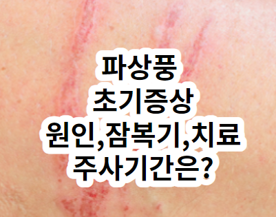 파상풍 초기증상 원인 잠복기 치료 / 파상풍 주사 기간 : 네이버 블로그