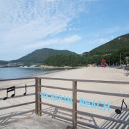 남해 송정 솔바람 해수욕장 주차장 및 오토캠핑장 가격