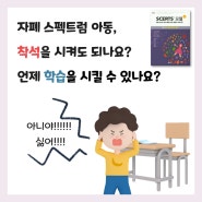 자폐 스펙트럼 착석과 학습의 고민 :SCERTS 이론 중심으로