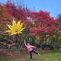 내장산 가을 등산 : 단풍놀이 제대로 즐기는 법! 단풍 사진 구도~