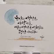 홍운캘리