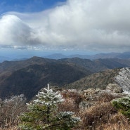 지리산 첫 상고대와 단풍을 같이 보다! 여자 혼자 알레버스 무박산행