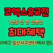 [일산유아영어] 1년에 단 한번! 코엑스 유교전에서의 최대 혜택을 일산서구센터에서도 동일하게 받아보세요~ 11월2일(목)~11월5일(일)