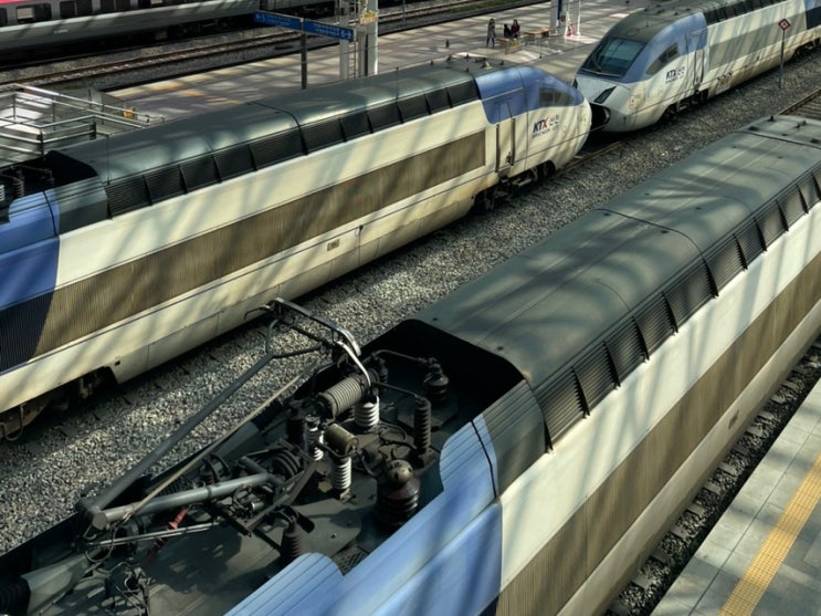 KTX 다자녀할인 방법 : 네이버 블로그
