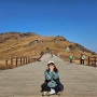 (가을등산) 울산 신불산 간월재 억새평원
