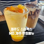 제주 스타벅스 한정메뉴 MD 리유저블컵 성산DT점 방문후기