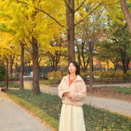 서울숲 단풍놀이 은행나무길