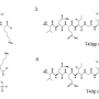 YMC Accura Triart C18를 이용한 인산화 펩타이드 (Phosphorylated peptide)의 깔끔한 분석
