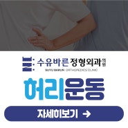 수유동 정형외과 허리운동 허리 통증 예방 및 완화