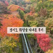 가을 단풍으로 유명한 경기도 광주 화담숲 나들이 다녀온 후기