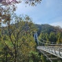 [대전/장태산]메타세콰이어 피톤치드 가득 자연휴양림