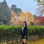 [춘천 남이섬] 단풍명소, 가을 낙엽 즐기기 🍂🌳
