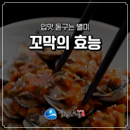 입맛 돋구는 별미 꼬막의 효능