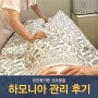 신도림피부샵 추천 미인본가온 하모니아 전신관리 리뷰