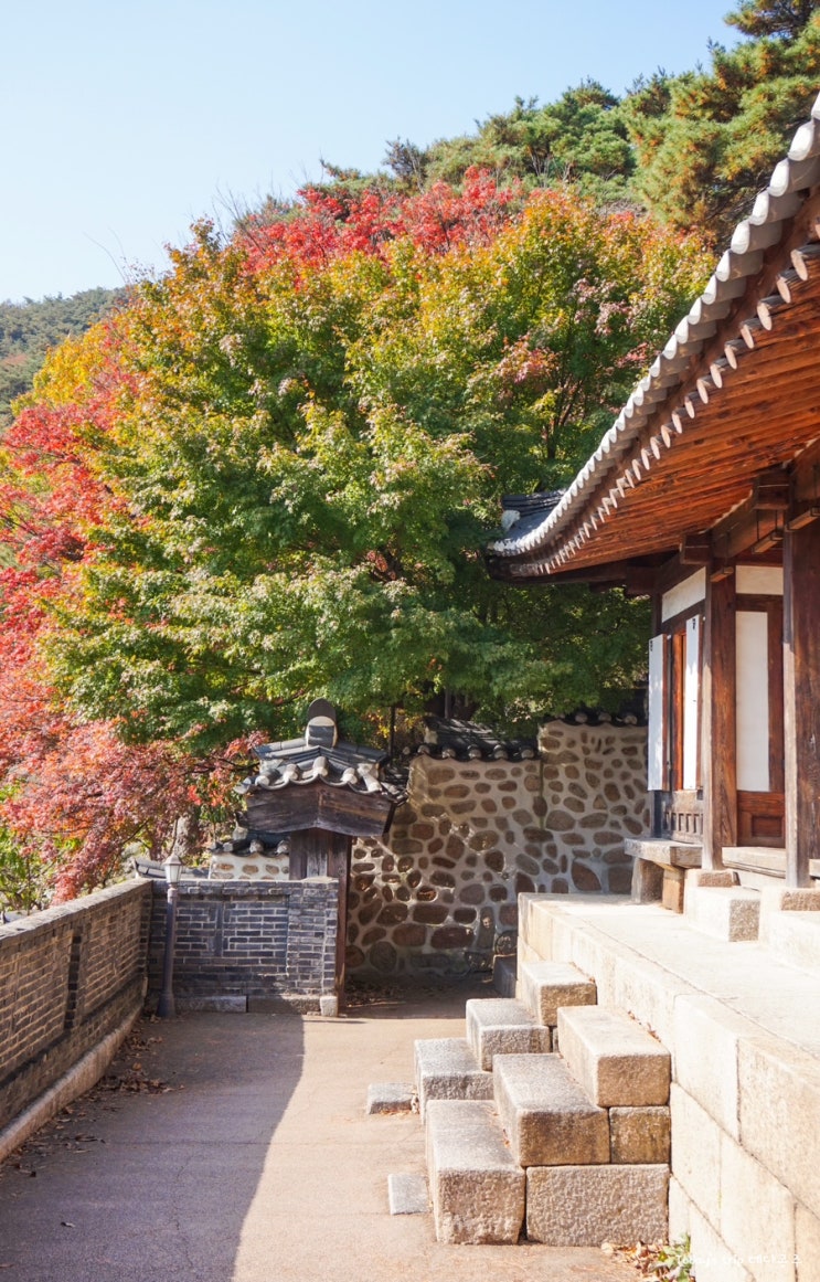 서울 단풍 명소 구경 시기 부암동 석파정 서울미술관 예약 입장료 가는길 주차 가을 전시 : 네이버 블로그