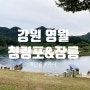 영월 가볼 만한 곳 단종의 발자취 / 청령포 & 장릉