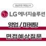 LG에너지솔루션 영업/마케팅 면접 예상 질문