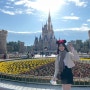 일본 도쿄 디즈니랜드 입장권 할인 가격, 신데렐라성 사진 꿀팁, 미녀와야수 DPA 후기