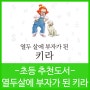 초등 추천도서(어린이 경제교육)-열두살에 부자가 된 키라