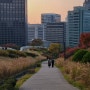 서울 남산 가을 단풍길 둘레길 코스 추천, 남산공원 백범광장 서울타워 가는 법