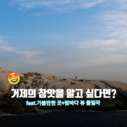 거제 볼거리 가볼만한곳(관광 가이드+섬꽃축제)-오션뷰 만끽한 후기도♡