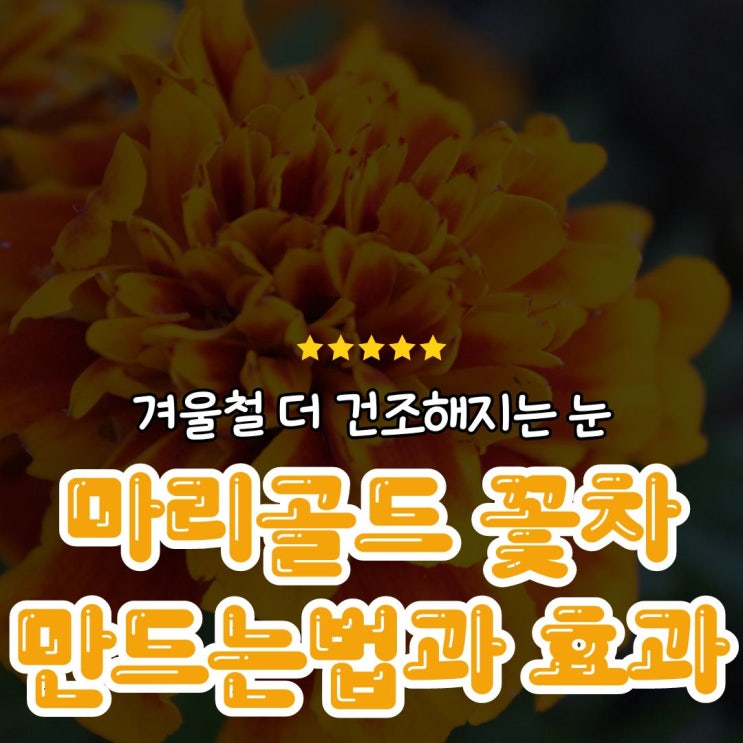 마리골드 꽃차 만드는 법과 효능에 대해서 알아보자 : 네이버 블로그