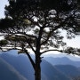 무등산] 무등산 가을 산행 세인봉 힐링 장소